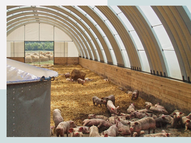 Строительство свинарников в Старом Осколе